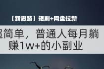 【新思路】短剧+网盘拉新，超简单，普通人每月躺赚1w+的小副业-“有力度”创业网