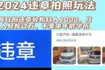 2024违章拍照新玩法，推广躺赚+拍照赚钱双模式，日入1000+-“有力度”创业网