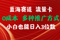 蓝海赛道 流量卡 0成本 小白也能日入三位数-“有力度”创业网