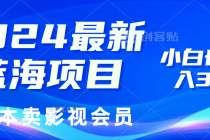 2024最新蓝海项目，0成本卖影视会员，小白也能日入3位数-“有力度”创业网