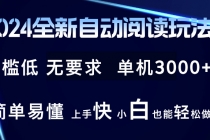 2024全新自动阅读玩法 全新技术 全新玩法 单机3000+ 小白也能玩的转 也…-“有力度”创业网